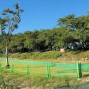 한정리파크골프장 이미지