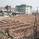 대학어린이집 이미지