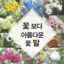 꽃보다농수산 이미지