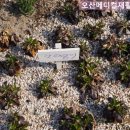 오산메디컬재활요양병원 이미지