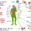 바디다룸 이미지