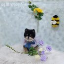 아름다운동물병원 이미지