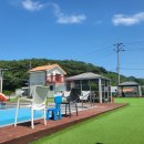 더스테이 골드독 이미지