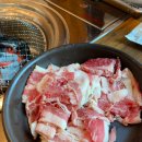 공룡고기 - 안산시 단원구 광덕1로 195 | 공룡고기