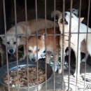 대선농장 이미지