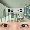 펫 뷰티살롱 | 김포 풍무동 속눈썸펌 잘하는 곳 추천 살롱드나봄 후기