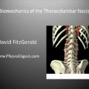 Thoracolumbar fascia Biomechanics 이미지