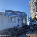 보보스샵