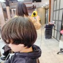 세종미용실 이미지