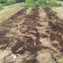 여울농장2 이미지