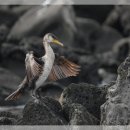 아늑한공간 이미지