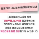 압구정아이비성형외과의원 네이버블로그