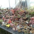 광수농장 이미지