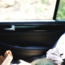 이 가축병원 이미지