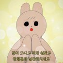 고향엄마손생바지락칼국수 서울목동점 네이버블로그