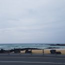 바다커피숍