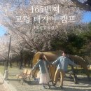 고령꽃집 | 165(26-5)🌸 고령 대가야 캠핑장 벚꽃 캠핑 후기 (명당 자리 꿀팁 + 가족캠핑 추천)