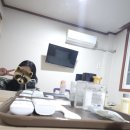 [공지] 여자혼자 제주도 2박3일 여행후기(핫플트립제주 여행후기)