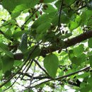 생비량면사무소 이미지