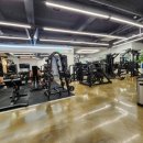 엑스퍼티짐 이미지