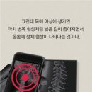 피부봄날 이미지