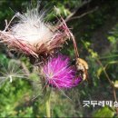 밤산농원 이미지