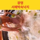 서해박속낙지전문점 | 생생정보통에서 소개한 광명 서해 박속낙지 전문점