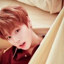 띠용 이미지