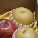 퍼스트샵휘트니스 이미지