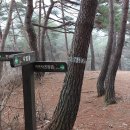 호계리~마곡사 이미지