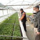 한들농장 이미지