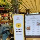 프라이펫 이미지