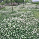 고려공인중개사사무소 이미지