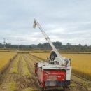 쇠똥구리 농장 이미지