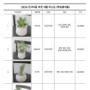 파주 일산 인사이동 식물, 마음을 전하는 탁상용 미니 화분 4종 (어먼스플라워)