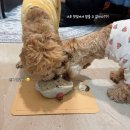 견우재 이미지
