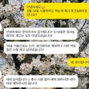 브라이덜샤워 소품 대여 '도노오브' 후기👰🏻‍♀️🤍