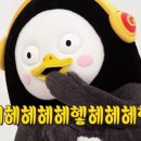 어라이크 이미지