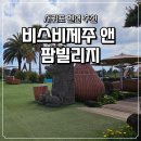 서귀포 펜션 추천, 오션뷰 끝판왕 비스비제주 앤 팜빌리지 시그니처 객실 후기