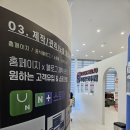 마케팅365