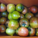 김상배농장 이미지