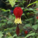 브이랜드 이미지