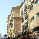 비류대로232번길 Daum카페