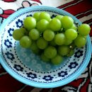 허밍코인노래연습장 이미지