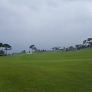 신동아카써비스 이미지