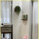 프로포즈 벤치 이미지