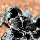 지호농장 이미지