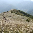 하얀산장민박 이미지