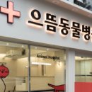 으뜸동물병원 이미지