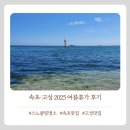 선영수산 | 여름휴가 준비하며 돌아보는 2025여름 고성여행후기